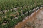 Δήμος Τυρνάβου: Άμεση παρέμβαση μετά τη σφοδρή χαλαζόπτωση