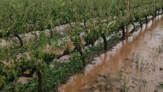 Δήμος Τυρνάβου: Άμεση παρέμβαση μετά τη σφοδρή χαλαζόπτωση