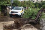 Υπηρεσίες του Δήμου Χαλανδρίου σε άμεση επέμβαση μετά την έντονη καταιγίδα