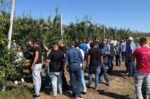 Ο Δήμος Τυρνάβου στο πλευρό των πληγέντων παραγωγών