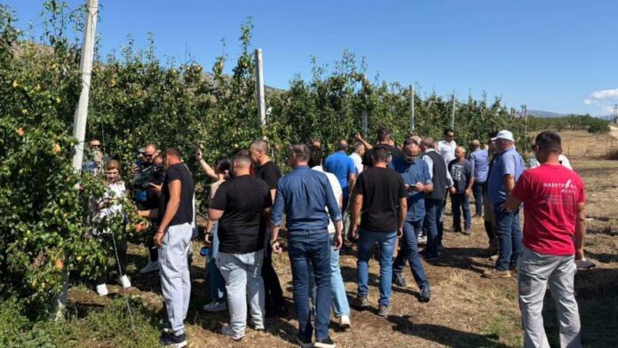 Ο Δήμος Τυρνάβου στο πλευρό των πληγέντων παραγωγών