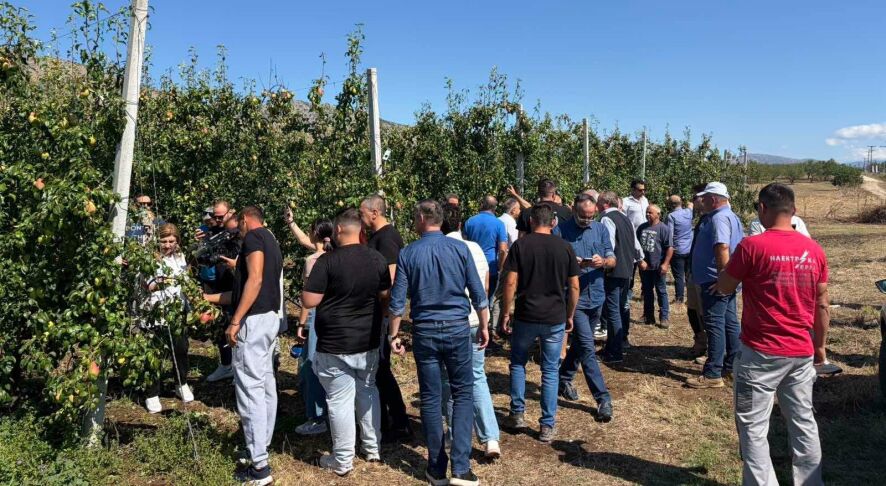 Ο Δήμος Τυρνάβου στο πλευρό των πληγέντων παραγωγών
