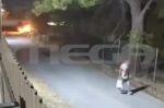 Εμπρησμός από πρόθεση στην Άνοιξη δίπλα σε δασική έκταση: Συνελήφθη 50χρονος – βίντεο
