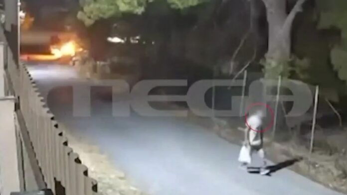 Εμπρησμός από πρόθεση στην Άνοιξη δίπλα σε δασική έκταση: Συνελήφθη 50χρονος – βίντεο