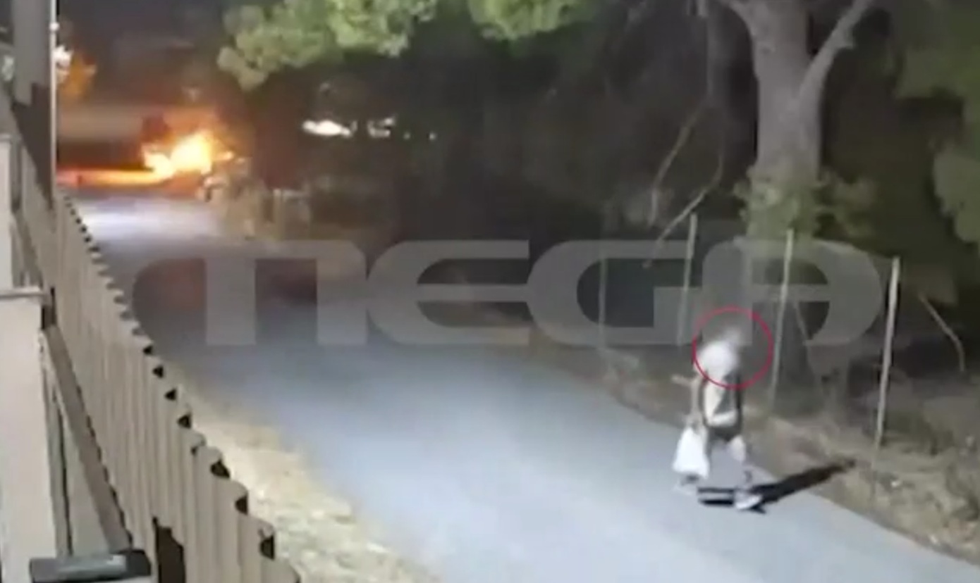 Εμπρησμός από πρόθεση στην Άνοιξη δίπλα σε δασική έκταση: Συνελήφθη 50χρονος – βίντεο