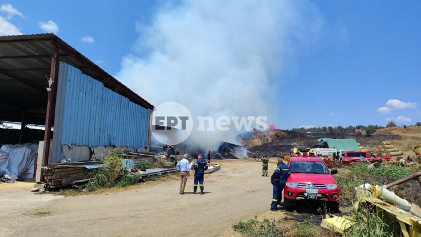 Φωτιά σε κτηνοτροφική μονάδα στα Λάβαρα Σουφλίου – Ισχυρή κινητοποίηση της Πυροσβεστικής