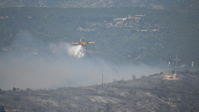 Άρτα: Βελτιωμένη η εικόνα στη φωτιά στο Κομπότι – Κάηκαν καλλιέργειες και κτηνοτροφικές μονάδες