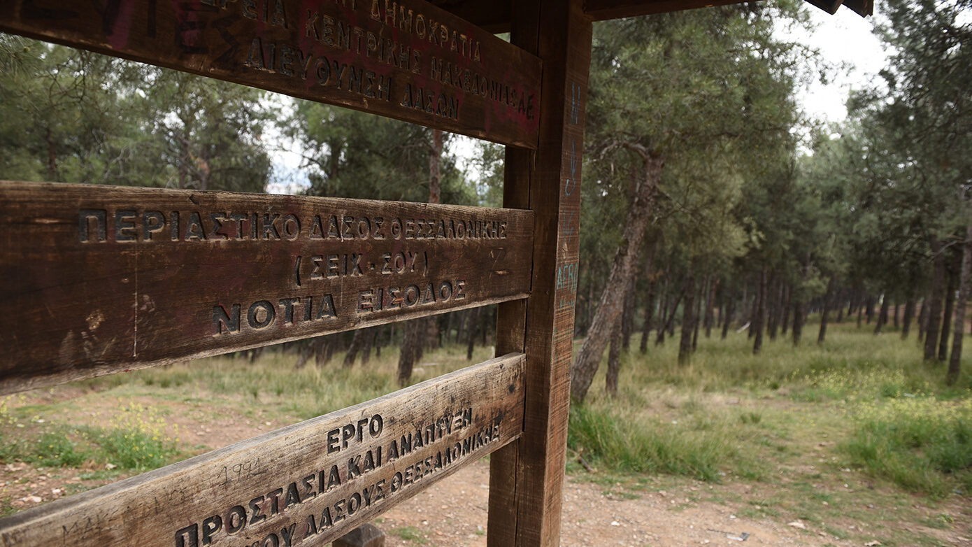Απαγορεύεται η κυκλοφορία σε Σέιχ Σου, Ωραιόκαστρο, Θέρμη και Πανόραμα: «Λουκέτο» στα δάση της Θεσσαλονίκης