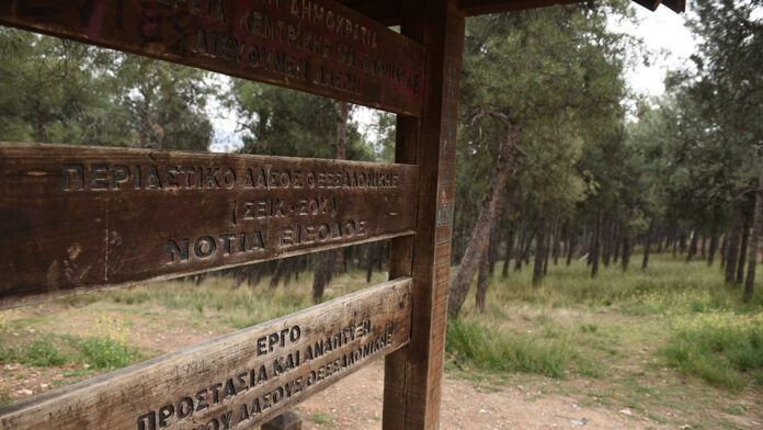Απαγορεύεται η κυκλοφορία σε Σέιχ Σου, Ωραιόκαστρο, Θέρμη και Πανόραμα: «Λουκέτο» στα δάση της Θεσσαλονίκης