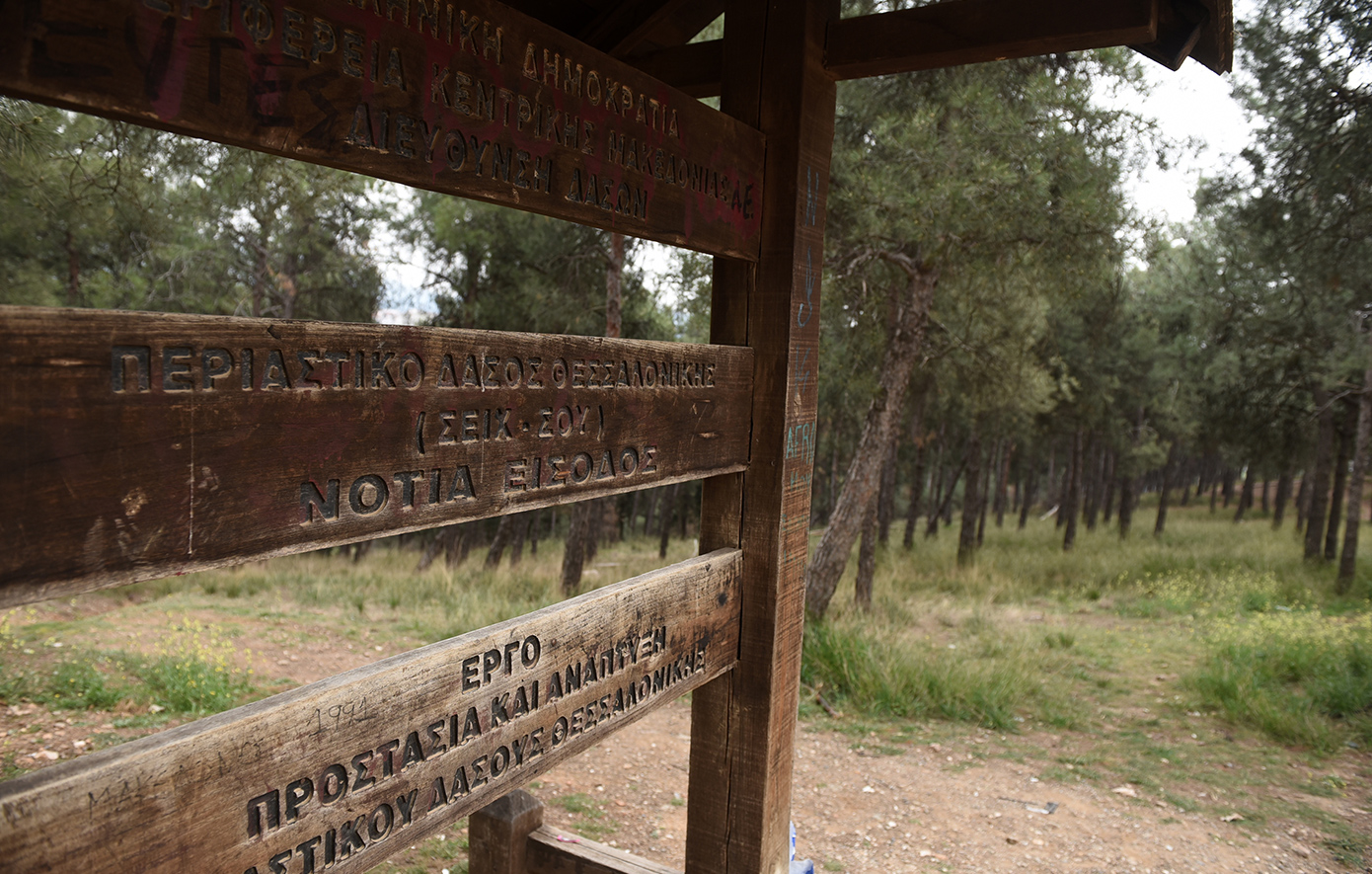 Απαγορεύεται η κυκλοφορία σε Σέιχ Σου, Ωραιόκαστρο, Θέρμη και Πανόραμα: «Λουκέτο» στα δάση της Θεσσαλονίκης