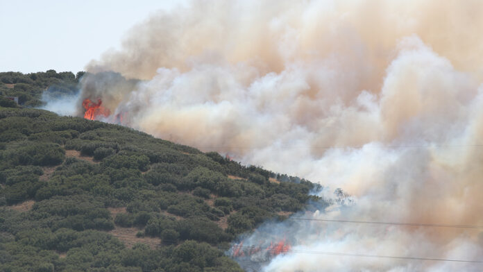 Μεγάλη φωτιά στο Δερβένι Θεσσαλονίκης από γεωργικές εργασίες με καταστροφέα – Συνελήφθη 51χρονος