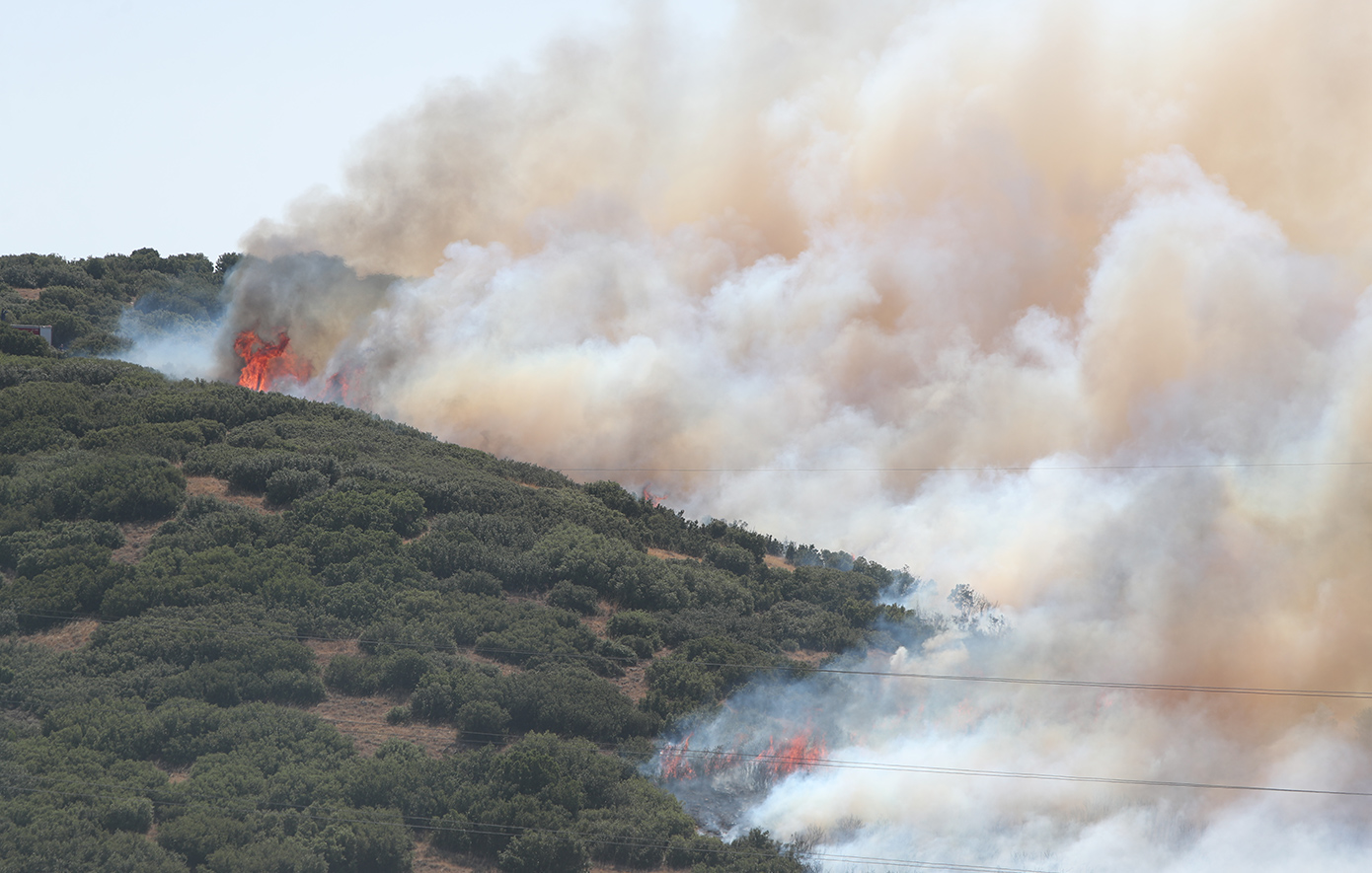 Μεγάλη φωτιά στο Δερβένι Θεσσαλονίκης από γεωργικές εργασίες με καταστροφέα – Συνελήφθη 51χρονος