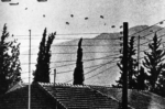 Σαν σήμερα 15 Ιουλίου: Το πραξικόπημα κατά του Μακαρίου και ο δρόμος για την τουρκική εισβολή