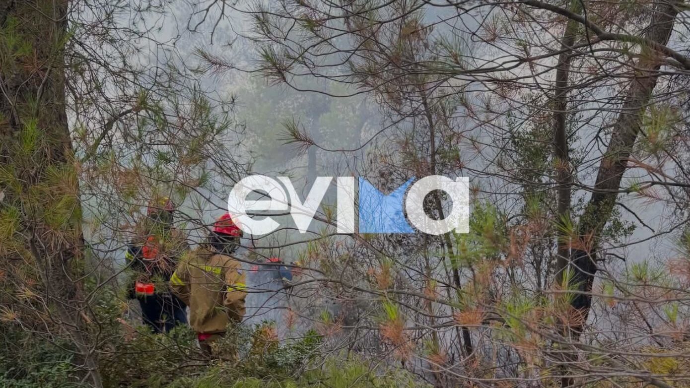 Φωτιά στο χωριό Μακρυκάπα στην Εύβοια τώρα