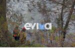 Φωτιά στο χωριό Μακρυκάπα στην Εύβοια τώρα