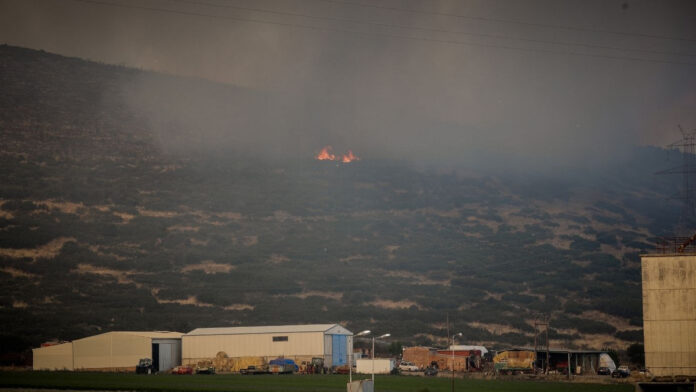 Βελτιωμένη εικόνα στη φωτιά στο Καλαπόδι Φθιώτιδας – Ενισχύθηκαν οι πυροσβεστικές δυνάμεις