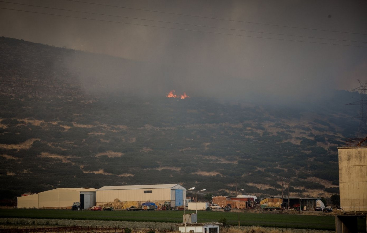 Βελτιωμένη εικόνα στη φωτιά στο Καλαπόδι Φθιώτιδας – Ενισχύθηκαν οι πυροσβεστικές δυνάμεις
