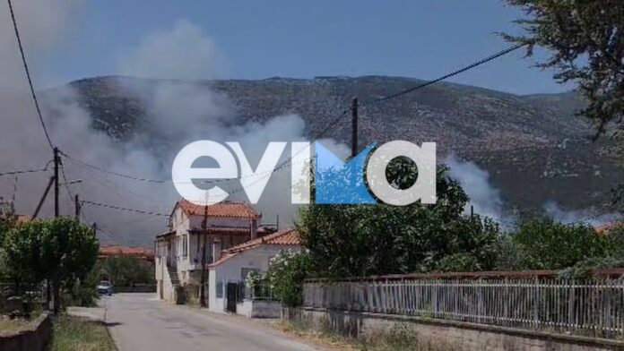 Φωτιά στην Εύβοια: Εστάλη 112 για εκκένωση του χωριού της Επισκοπής
