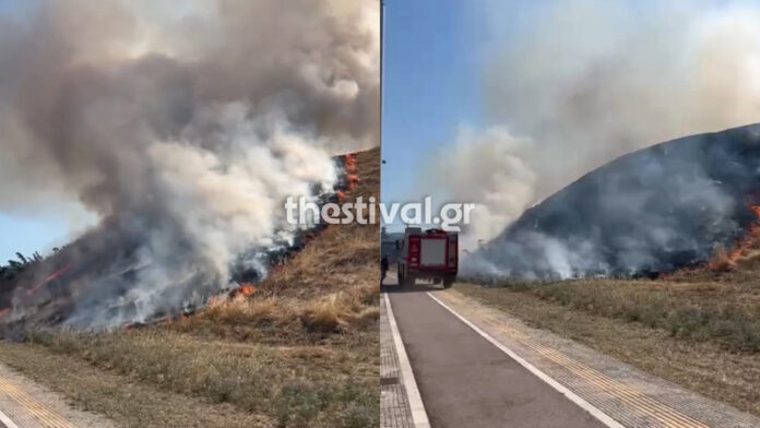 Φωτιά στο Φράγμα της Θέρμης – Συναγερμός στην Πυροσβεστική