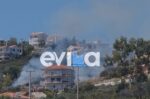 Πυρκαγιά στην Ακτή Νηρέως Ευβοίας καίει ξερά χόρτα δίπλα σε σπίτια, επιχειρούν ισχυρές πυροσβεστικές δυνάμεις