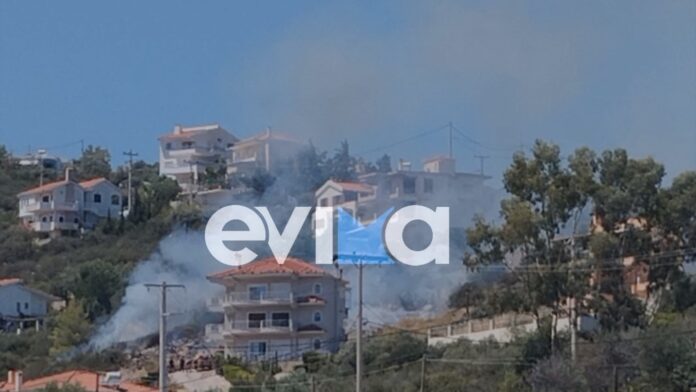Πυρκαγιά στην Ακτή Νηρέως Ευβοίας καίει ξερά χόρτα δίπλα σε σπίτια, επιχειρούν ισχυρές πυροσβεστικές δυνάμεις