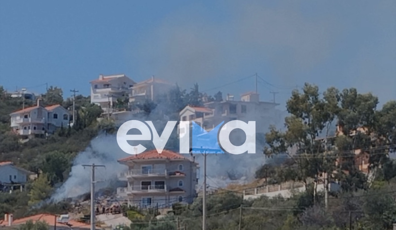 Πυρκαγιά στην Ακτή Νηρέως Ευβοίας καίει ξερά χόρτα δίπλα σε σπίτια, επιχειρούν ισχυρές πυροσβεστικές δυνάμεις