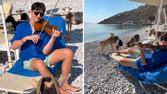 Ελληνοαυστραλός μουσικός έπαιξε βιολί στη Σύμη και μάγεψε τις κατσίκες