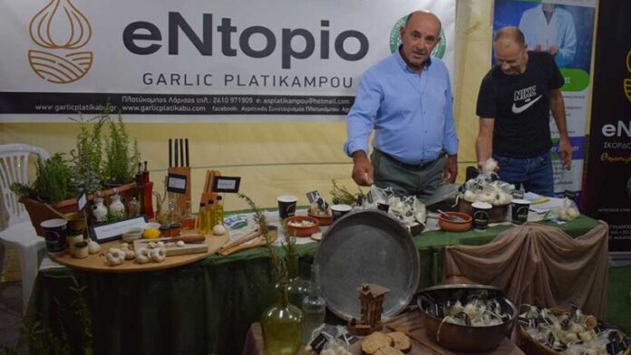 Φεστιβάλ σκόρδου στον Πλατύκαμπο του Δήμου Κιλελέρ: επιτυχία