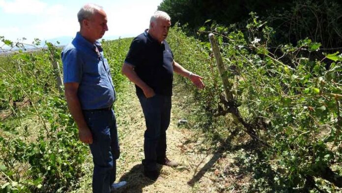 Ζημιές από την έντονη χαλαζόπτωση στον Δήμο Κιλελέρ