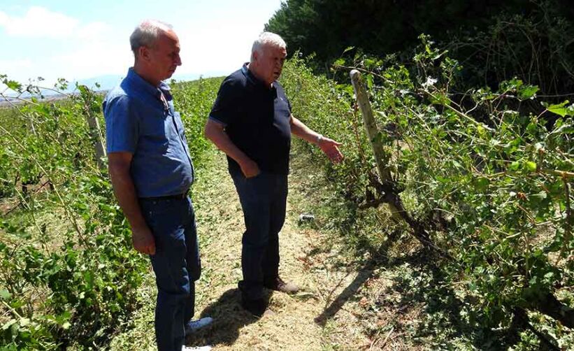 Ζημιές από την έντονη χαλαζόπτωση στον Δήμο Κιλελέρ