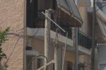 Φορτηγό μετακόμισης έπεσε σε κολόνα και την έκοψε στη μέση – Κλειστή η οδός Δεσποτάτου Μυστρά στο Ίλιον