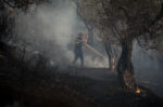 Ρέθυμνο: Μάχη με τη φωτιά και τους θυελλώδεις ανέμους, καθηλωμένα τα εναέρια, καλύτερη η εικόνα σε Σητεία και Πλωμάρι