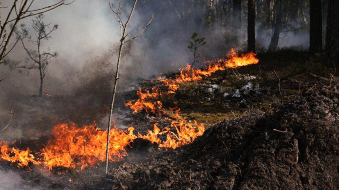 Σύλληψη 42χρονου για πυρκαγιά στο Κιλκίς