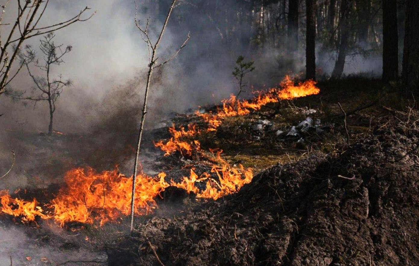 Σύλληψη 42χρονου για πυρκαγιά στο Κιλκίς