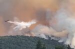 Φωτιά στην Οινόη: Μήνυμα του 112, πάνω από 20 εναέρια μέσα και διακοπή κυκλοφορίας στην παλιά εθνική Αθηνών Θηβών