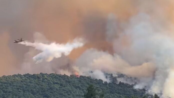 Φωτιά στην Οινόη: Μήνυμα του 112, πάνω από 20 εναέρια μέσα και διακοπή κυκλοφορίας στην παλιά εθνική Αθηνών Θηβών
