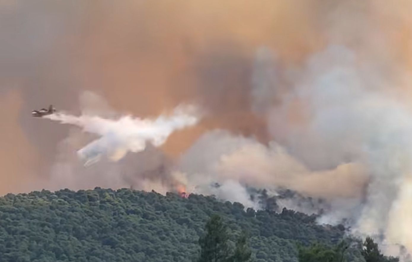 Φωτιά στην Οινόη: Μήνυμα του 112, πάνω από 20 εναέρια μέσα και διακοπή κυκλοφορίας στην παλιά εθνική Αθηνών Θηβών
