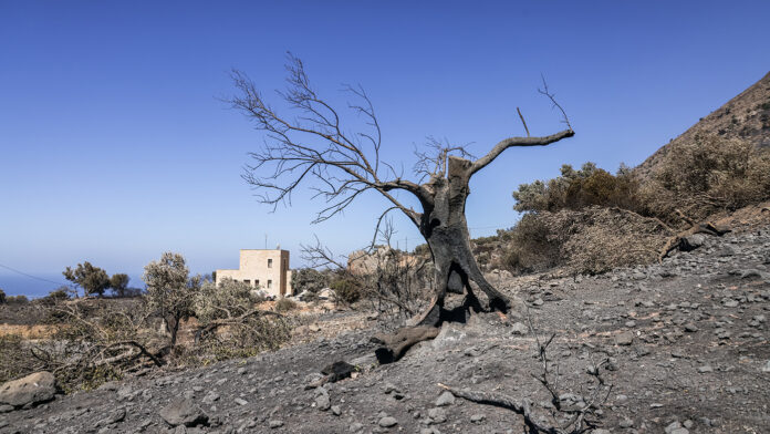11 συλλήψεις για τις φωτιές σε όλη τη χώρα – Αφέθηκαν ελεύθεροι οι συλληφθέντες στην Πάρο