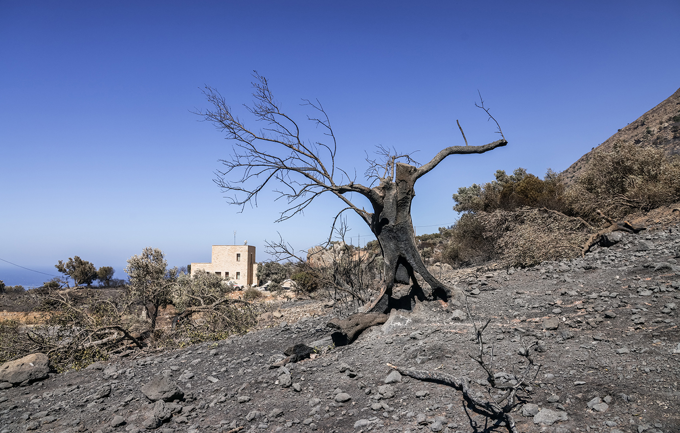 11 συλλήψεις για τις φωτιές σε όλη τη χώρα – Αφέθηκαν ελεύθεροι οι συλληφθέντες στην Πάρο