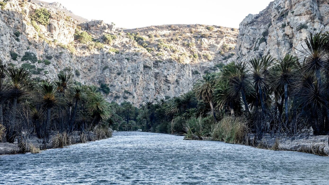 Πρέβελη: Η εικόνα την επόμενη μέρα της μεγάλης φωτιάς σε φωτογραφίες