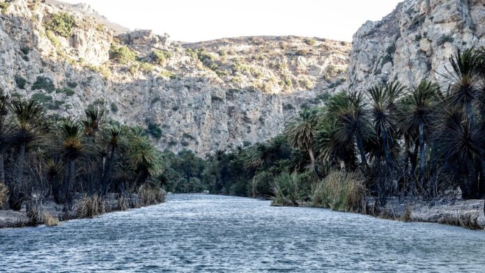 Πρέβελη: Η εικόνα την επόμενη μέρα της μεγάλης φωτιάς σε φωτογραφίες