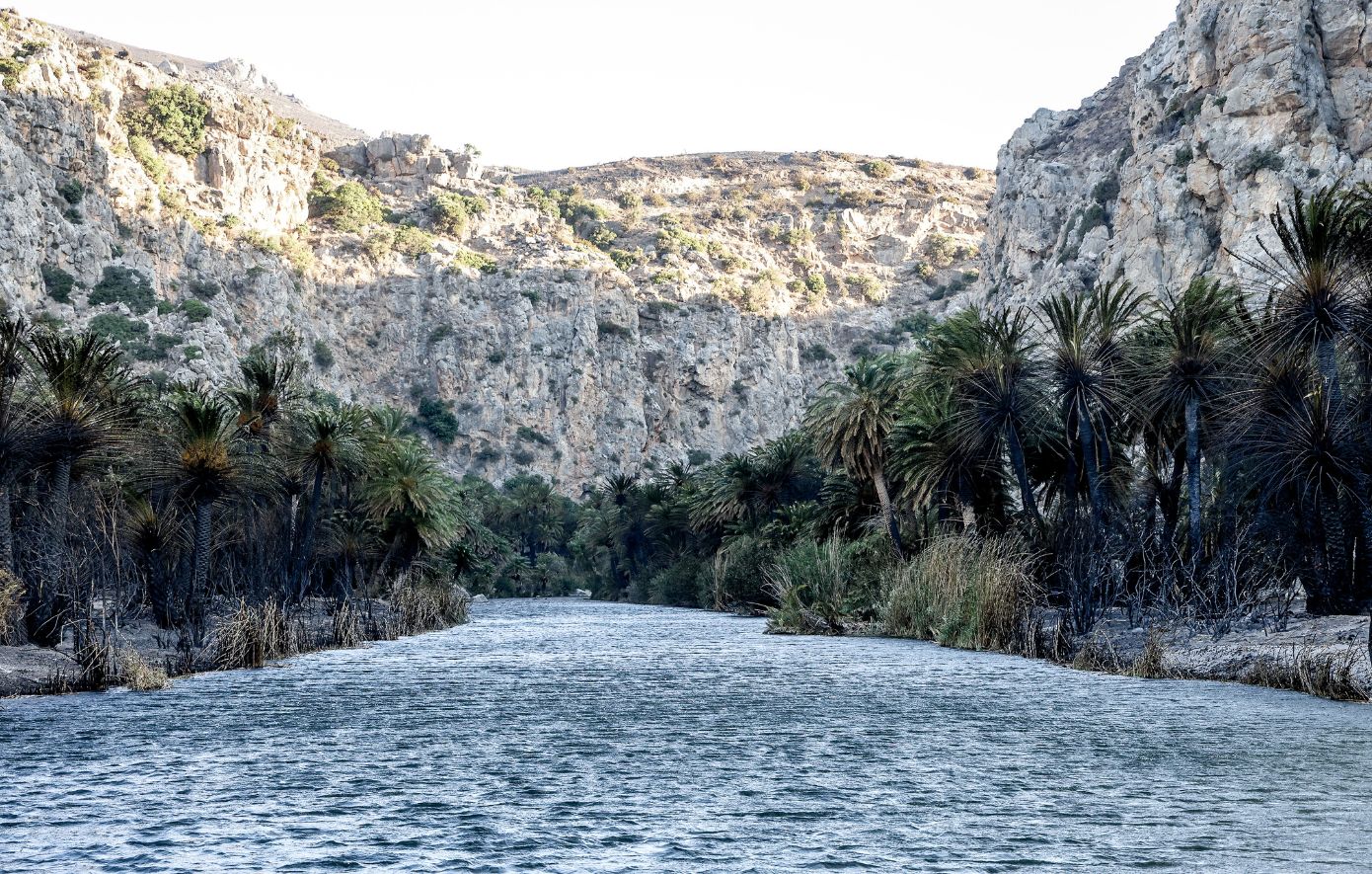 Πρέβελη: Η εικόνα την επόμενη μέρα της μεγάλης φωτιάς σε φωτογραφίες