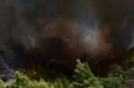 Φωτιά στη Λευκίμμη Σουφλίου – Μεγάλη επιχείρηση με τέσσερα εναέρια μέσα