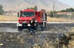Πυρκαγιά πλησίον του στρατοπέδου «Σχοινά» στον Τύρναβο: άμεση επέμβαση