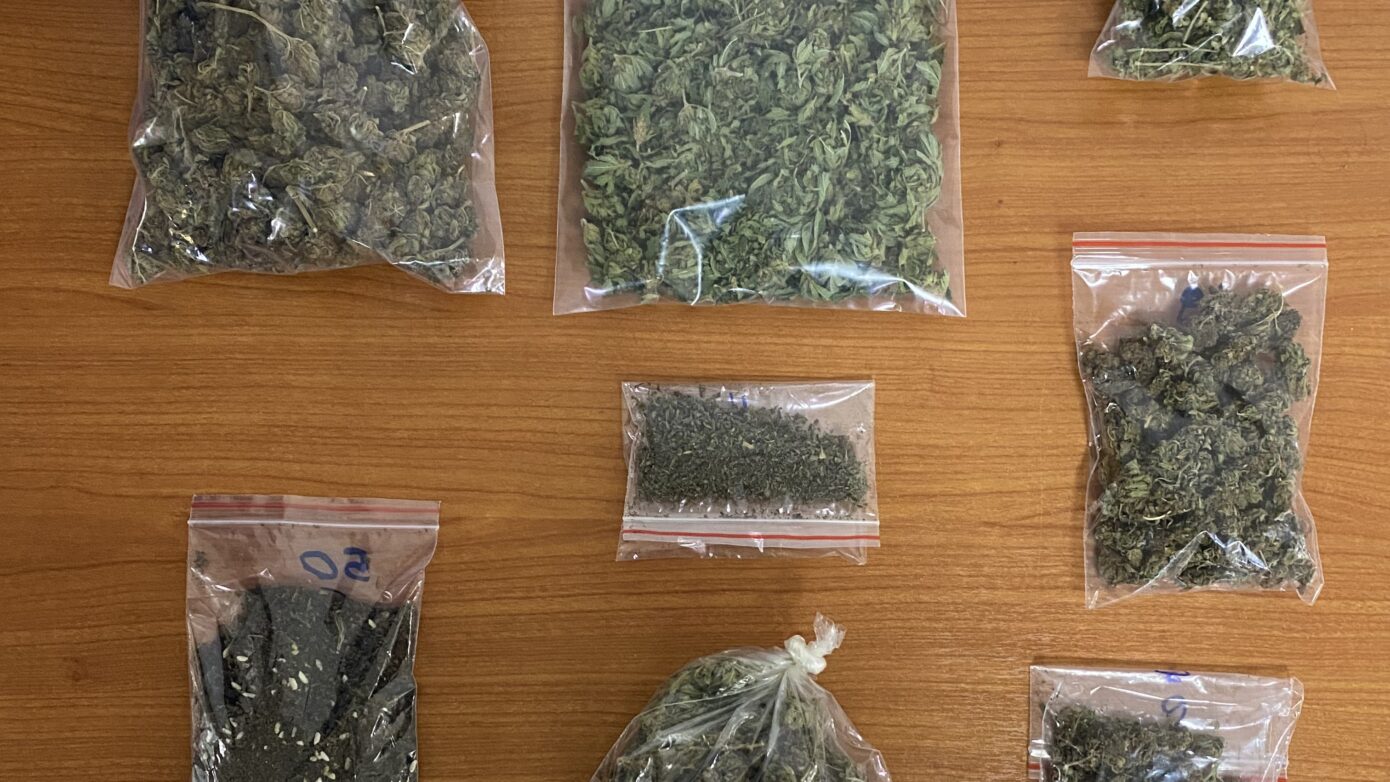 Πιερία: Χειροπέδες σε 62χρονο για καλλιέργεια δενδρυλλίων κάνναβης