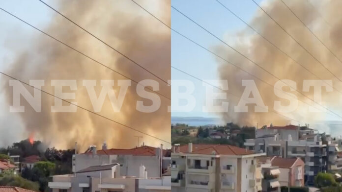 Φωτιά στην Πυλαία Θεσσαλονίκης: Μήνυμα 112 για εκκένωση και μεγάλη κινητοποίηση της Πυροσβεστικής