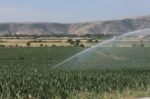 Θεσσαλία: Σε κρίσιμο σημείο τα αποθέματα νερού – «Η στάθμη του υδροφόρου ορίζοντα κατεβαίνει κάθε χρόνο»