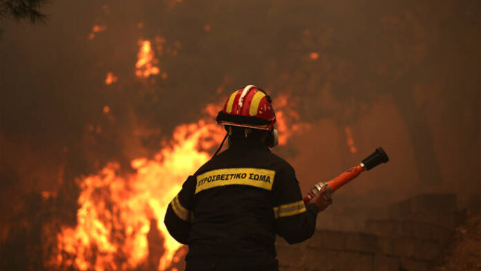 Φωτιά σε δασική έκταση στην Πρώτη Σερρών: Ισχυρές επίγειες δυνάμεις στο σημείο