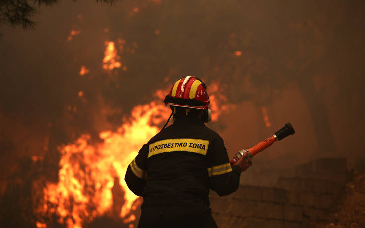 Φωτιά σε δασική έκταση στην Πρώτη Σερρών: Ισχυρές επίγειες δυνάμεις στο σημείο