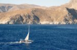 Καιρός: Επιμένει η ζέστη, ενισχύονται οι άνεμοι – Σε ποιες περιοχές θα φτάσει τους 39°C